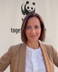 Alex Fayet